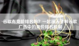 谷歌有竞价排名吗？一起深入了解谷歌广告中的竞价排名机制