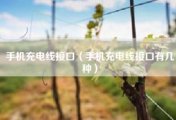 手机充电线接口（手机充电线接口有几种）