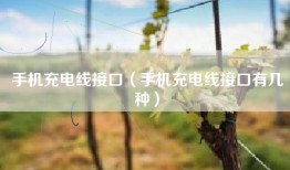 手机充电线接口（手机充电线接口有几种）