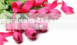 西安广告投放行业相关领域（应用领域）分析