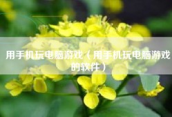 用手机玩电脑游戏（用手机玩电脑游戏的软件）