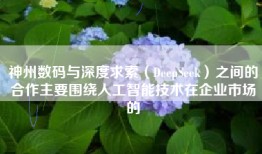 神州数码与深度求索（DeepSeek）之间的合作主要围绕人工智能技术在企业市场的