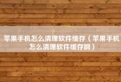 苹果手机怎么清理软件缓存（苹果手机怎么清理软件缓存啊）