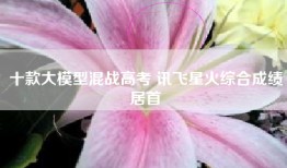 十款大模型混战高考 讯飞星火综合成绩居首