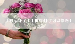 手机gps坏了（手机Gps坏了可以修吗）