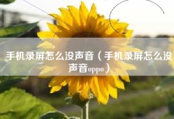 手机录屏怎么没声音（手机录屏怎么没声音oppo）