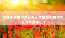 手机反应迟钝怎么办（手机反应迟钝怎么办华为手机）