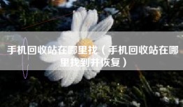 手机回收站在哪里找（手机回收站在哪里找到并恢复）