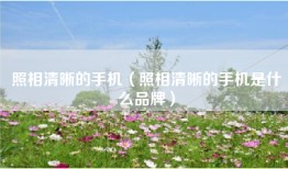 照相清晰的手机（照相清晰的手机是什么品牌）