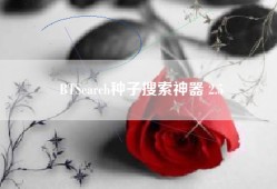 BTSearch种子搜索神器 2.5