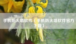 手机防火墙软件（手机防火墙软件官方下载）