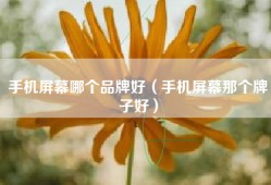 手机屏幕哪个品牌好（手机屏幕那个牌子好）
