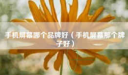 手机屏幕哪个品牌好（手机屏幕那个牌子好）