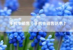 手机卡销售（手机卡销售话术）