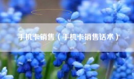 手机卡销售（手机卡销售话术）