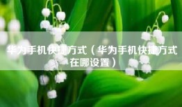 华为手机快捷方式（华为手机快捷方式在哪设置）