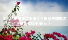 手机给电脑重装系统（手机给电脑重装系统教程不用root）