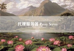 代理服务器 Proxy Server