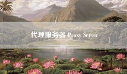 代理服务器 Proxy Server