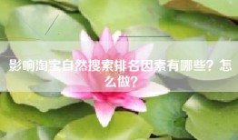 影响淘宝自然搜索排名因素有哪些？怎么做？