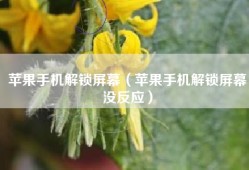 苹果手机解锁屏幕（苹果手机解锁屏幕没反应）