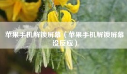 苹果手机解锁屏幕（苹果手机解锁屏幕没反应）
