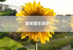 雷军娱乐简史