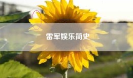 雷军娱乐简史