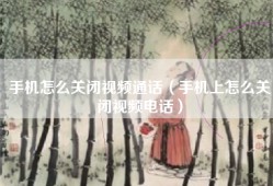 手机怎么关闭视频通话（手机上怎么关闭视频电话）