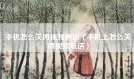 手机怎么关闭视频通话（手机上怎么关闭视频电话）