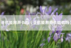 手机能用声卡吗（手机能用声卡唱歌吗）