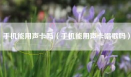 手机能用声卡吗（手机能用声卡唱歌吗）