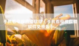 手机看电视直播软件（手机看电视直播软件免费版）