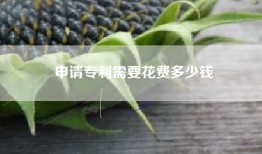 申请专利需要花费多少钱