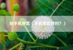 给手机带套（手机带套好吗？）