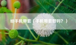 给手机带套（手机带套好吗？）