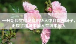 一开始我觉得老挝的华人中介都是骗子，正应了那句中国人专坑中国人