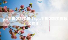 oppo手机强制关机(Oppo手机强制关机怎么操作)