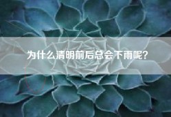 为什么清明前后总会下雨呢？