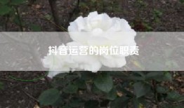 抖音运营的岗位职责
