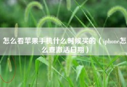 怎么看苹果手机什么时候买的（iphone怎么查激活日期）