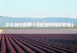 手机靓号购买（手机靓号购买渠道）