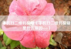 手机扫二维码模糊（手机扫二维码模糊是什么原因vivo）