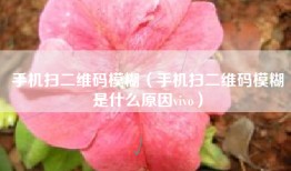 手机扫二维码模糊(手机扫二维码模糊是什么原因vivo)