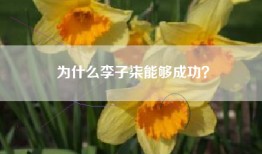 为什么李子柒能够成功？