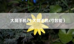 大屏手机6（大屏手机6寸智能）