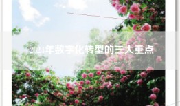 2024年数字化转型的三大重点