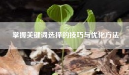 掌握关键词选择的技巧与优化方法