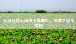 外贸网站无询盘困境解析，突破之道全揭秘