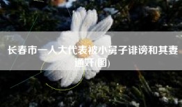 长春市一人大代表被小舅子诽谤和其妻通奸(图)